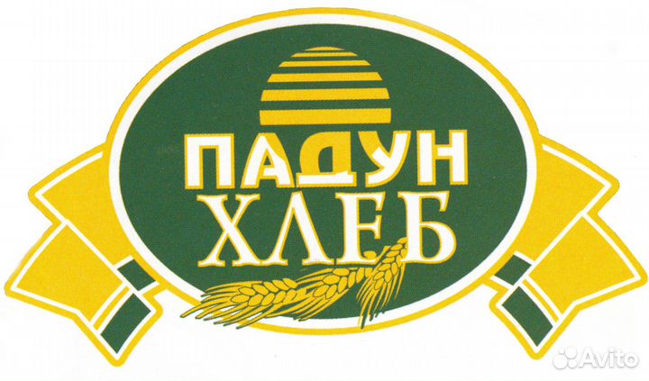 Начальник электромеханической службы