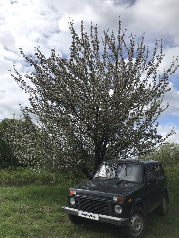 ВАЗ (LADA) 4x4 (Нива): фото владельца