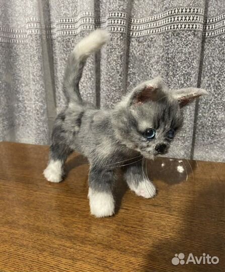 Котёнок