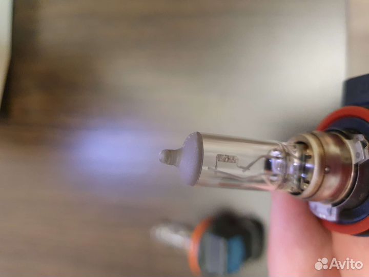 Osram Галогеновые лампы h11