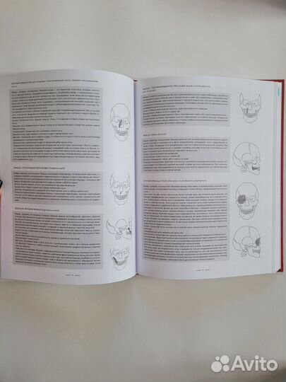 Книги для художников