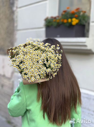 Большой букет из матрикарии