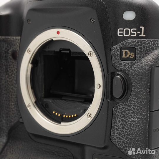 Canon EOS 1Ds