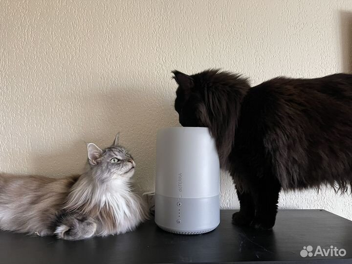 Увлажнитель воздуха doterra Humidifer Dawn Aroma