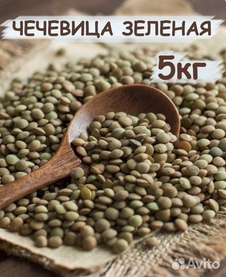 Чечевица зеленая оптом