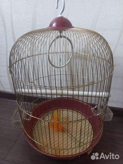 Клетка для попугая