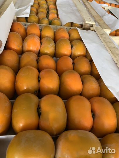 Овощи и фрукты оптом в розницу