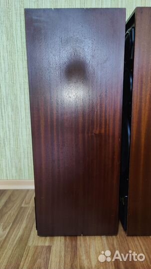 Колонки Радиотехника S-90 35ас-212