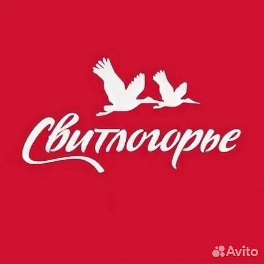 Ночной оператор 1с