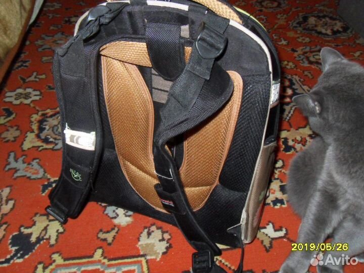 Рюкзак ортопедический с жесткой спинкой