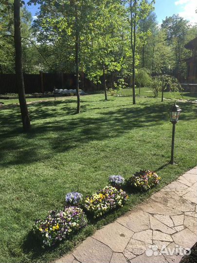 Укладка рулонного газона стандарт