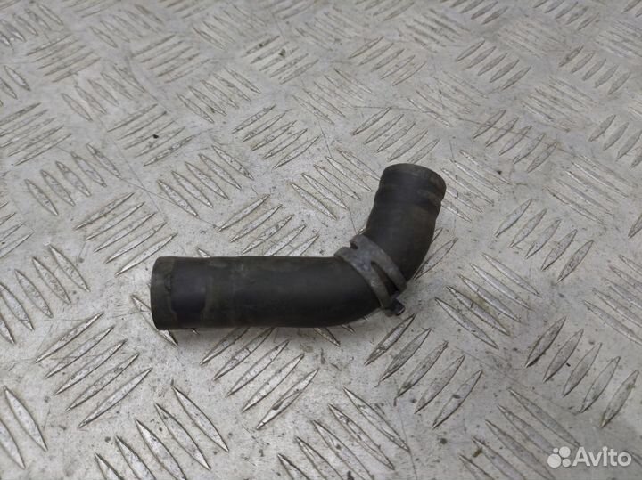 Шланг системы охлаждения Audi A3 RS3 RSQ3 ttrs