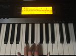 Цифровое пианино Casio 220r