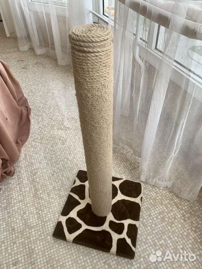 Когтеточка