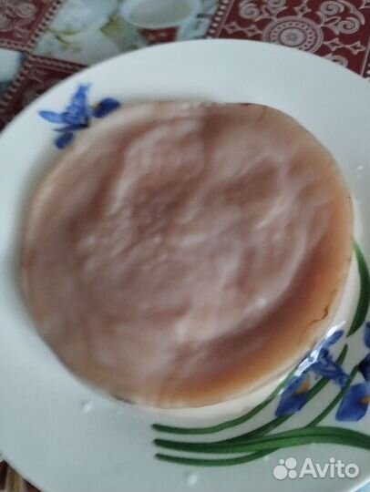 Чайный гриб комбуча