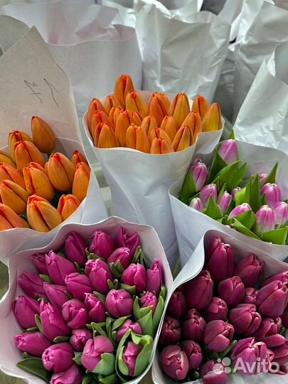 Букеты из тюльпанов к 8 марта с открыткой