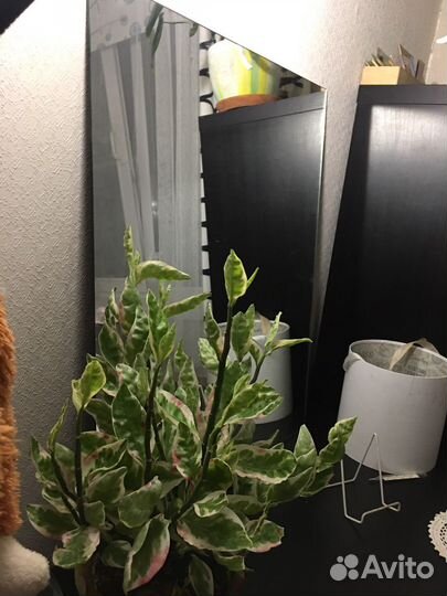 Зеркала. С креплением И без