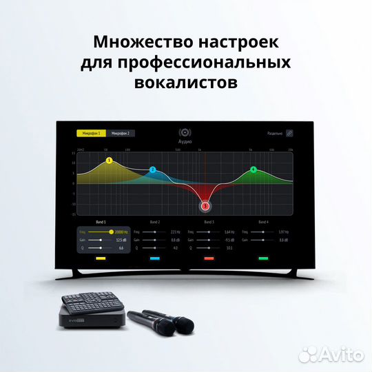 Evolution Evobox Black караоке система для дома