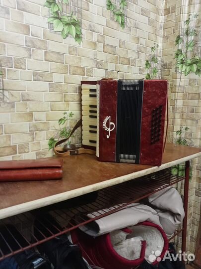 Гармонь «кременно»