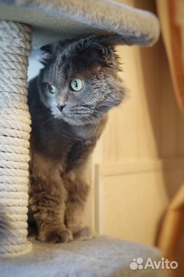 Лушу били, а потом выкинули