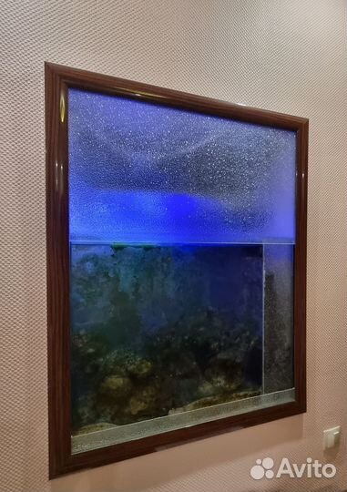 Аквариум,Террариум