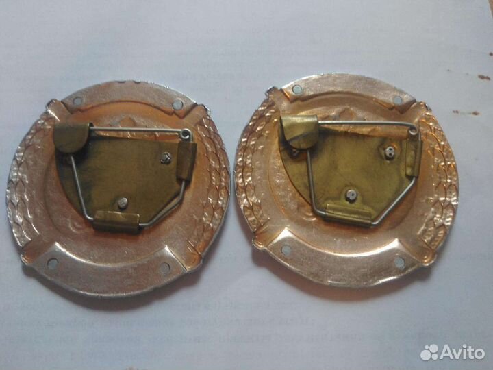 Нагрудный знак дпс милиция