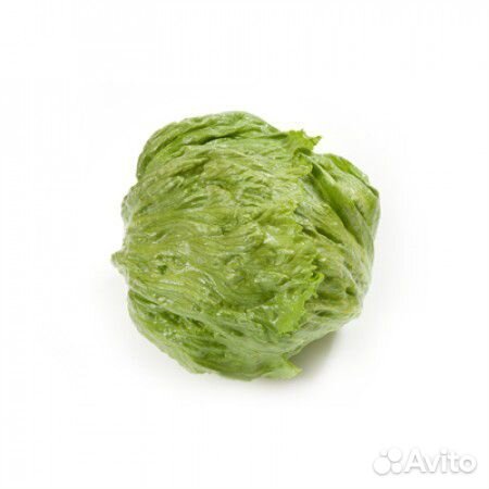 Семена Салата 