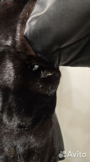 Зимняя куртка