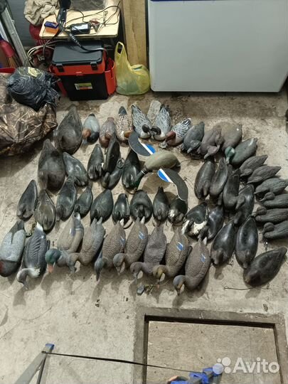 Охота и рыбалка