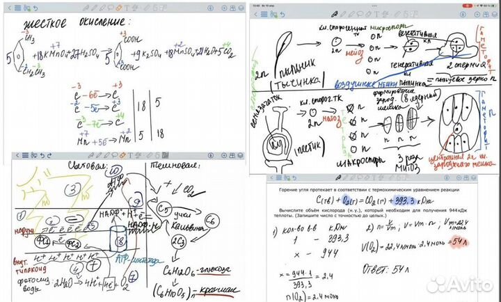 Репетитор по химии и биологии егэ огэ профессионал