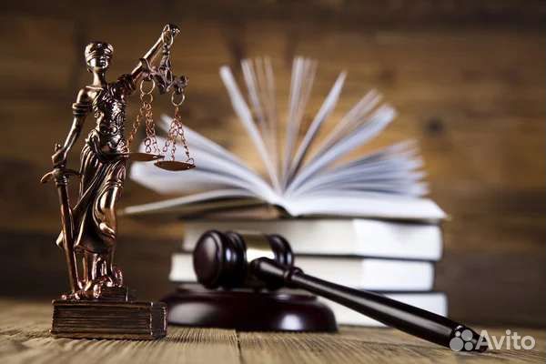 Юрист, Проверка организаций, банкротство