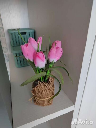 Декоративные композиции растений и цветов