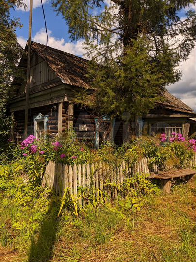 Участок 50 сот. (ИЖС)