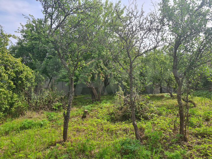 Участок 5,5 сот. (СНТ, ДНП)