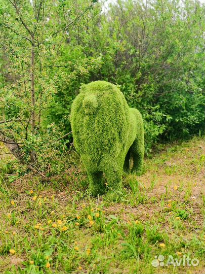 Топиарная фигура лев