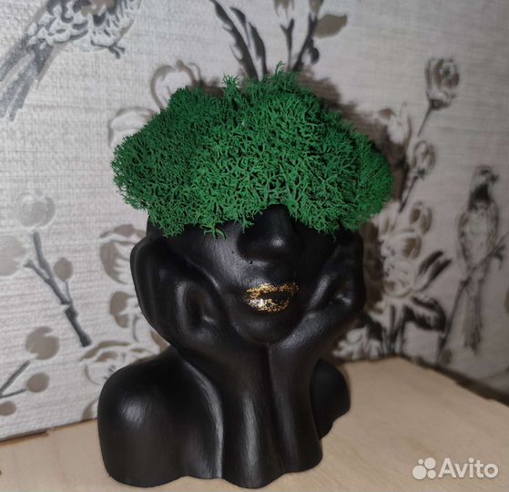 Кашпо со стабилизированным мхом