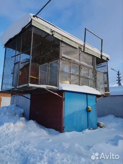 Голубятня продажа