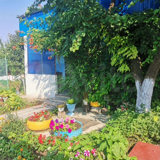 Комната 24 м² в 2-к., 1/1 эт.