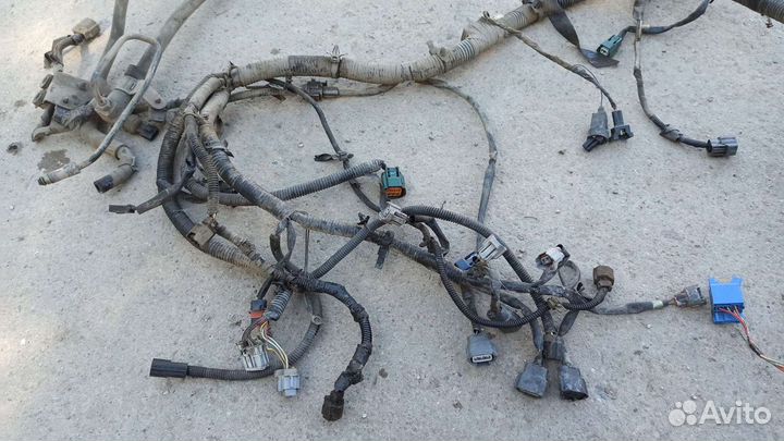 Электропроводка Ниссан Альмера Классик