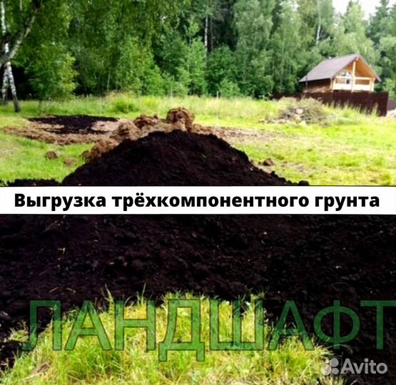 Городской рулонный газон для вас Коммунарка