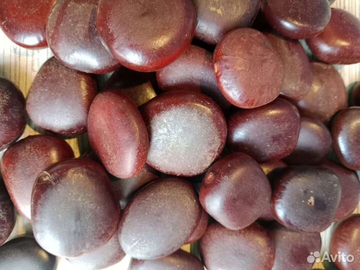 Бобы энтадо