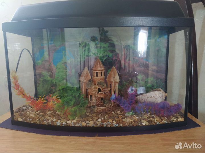 Аквариум