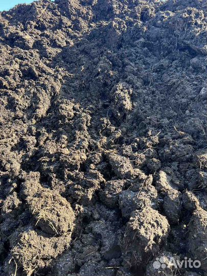 Навоз коровий