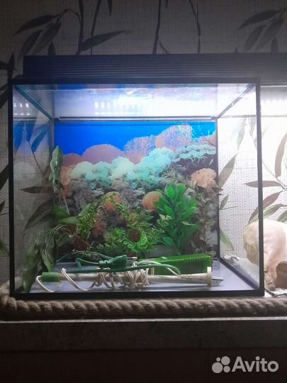 Аквариум