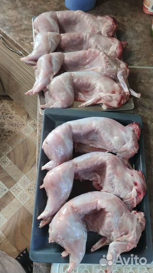 Продам мясо кролика
