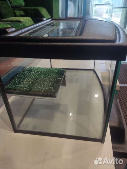 Террариум для черепахи