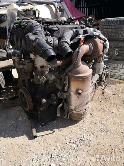 Двс Peugeot Citroen 9HZ 9HY DV6TED4 FAP 1.6 HDi