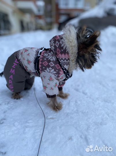 Утеплённый комбинезон для собак мелкой породы