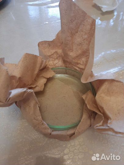 Чашка Петри