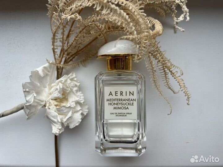 Aerin mediterranean honeysuckle mimosa